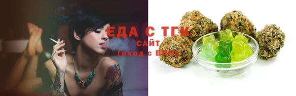 дмт Алексин