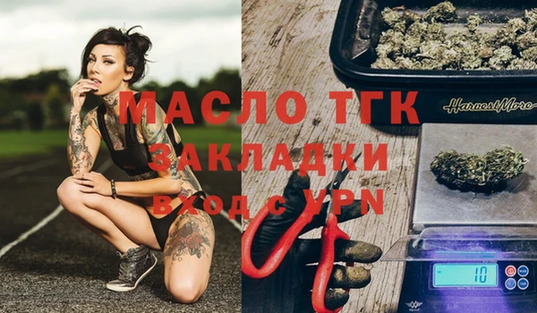 дмт Алексин